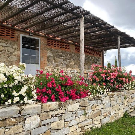 Apartamento Tregole Castellina in Chianti Exterior foto