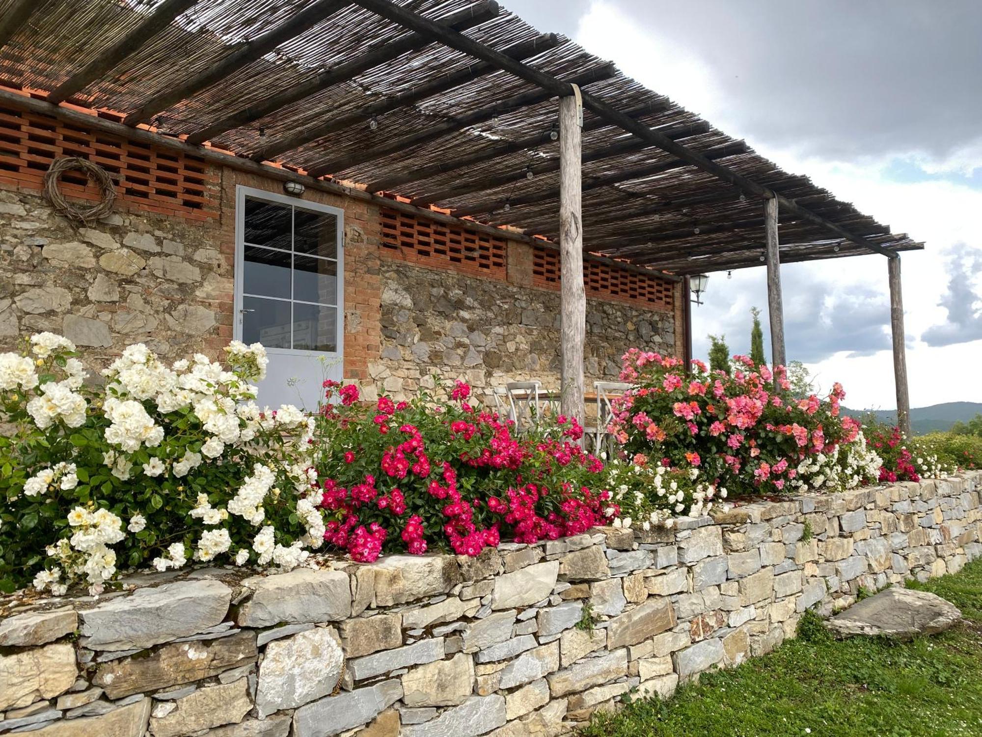 Apartamento Tregole Castellina in Chianti Exterior foto